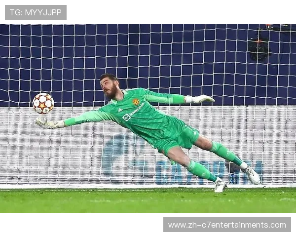 汉堡门将霍伊尔8.1分全场最高，神扑救主逼平拜仁